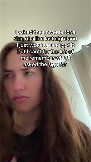 sorry universe for wasting your time #sign #signsfromtheuniverse