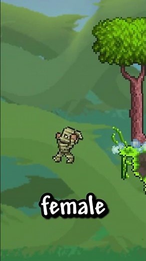 The BEST Waifu Modpacks in Terraria