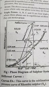 Phase Diagram Of Sulphur System 📚📖bsc physics chemistry pyq #learning #neet #bsc #studymaterial