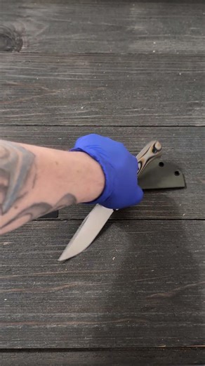 model Intros: Jackrabbit Jr