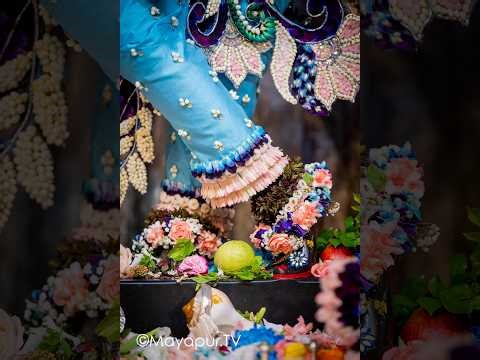 Kṛṣṇa deva! bhavantaḿ vande