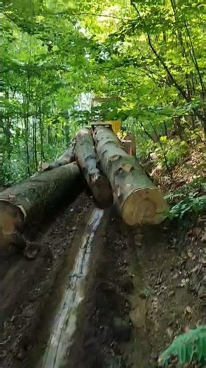 LKT 81 TURBO U AKCIJI 🌲🍂 #lkt81turbo #lkt #tractor #traktor #kozara #šuma