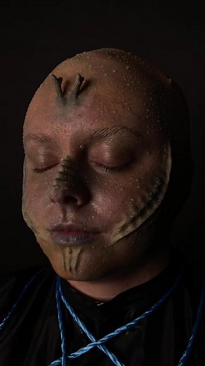 looksfromlou on TikTok