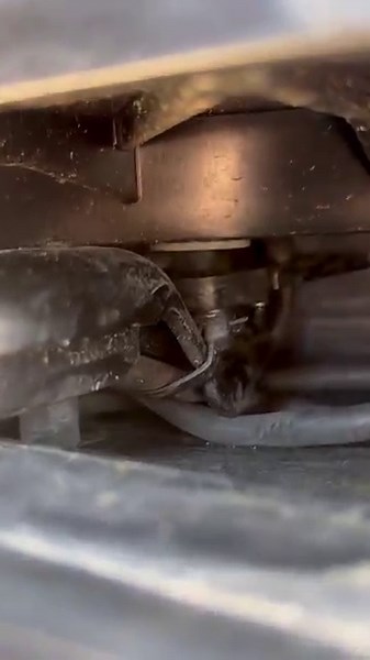 2019 Mercedes sprinter van, electrical stays on when key off. One pinched wire in door! #diagnostics