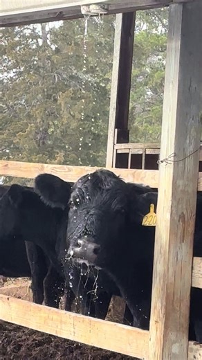 Innovative Farming Solutions in Tennessee