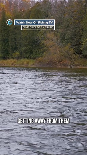 45K views · 457 reactions | The most exciting way of fly fishing -...