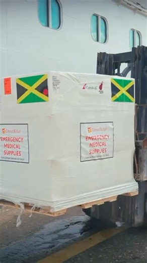 Carnival Cruise Line on Instagram: "Jamaica isn’t just a destination; it’s a home to many of our guests and crew members. We’re proud to partner with the @miamiheat @directrelief , and the Micky and Madeleine Arrison Foundation to deliver medical supplies to Ocho Rios, Jamaica aboard Carnival Horizon. 🇯🇲"