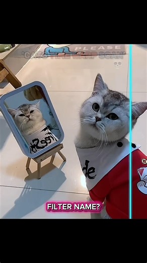 Cats Time Warp Scan + Tutorial #shorts #viralshort #tutorialfilter