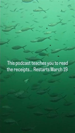 Why I Trust The Body Over The Brain