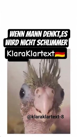 Wenn man diesen Zirkus nicht ertragen kann #fy #funny #politics #turkey #witzig #merz #deutsch