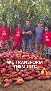 ✨The collaboration between Cacao Culture and Waste X promises positive results for cacao farming communities. This partnership underscores both organizations' commitment to sustainable practices and marks a significant step in revolutionizing the Philippine cacao industry. What's cacao culture set apart is its commitment to sustainability, reducing waste through innovative methods like transforming agricultural waste into biochar to enhance soil quality and yield. Check here to learn more 😉👇 w