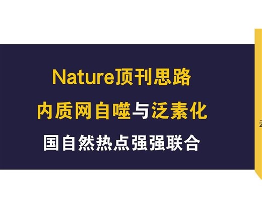 快来签收你7月的Nature顶刊思路！内质网自噬与泛素化强强联合