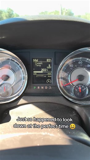 Baba Booey (@bababooey4life)’s videos with original sound - Baba Booey