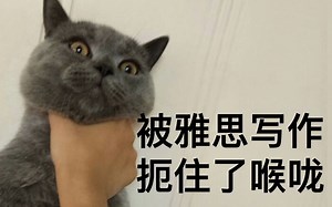 【公开课】雅思小作文送分题之表格table