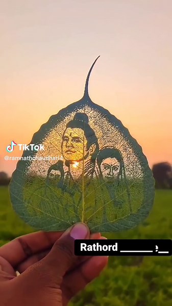 Intricate Leaf Patterns in Natural Light