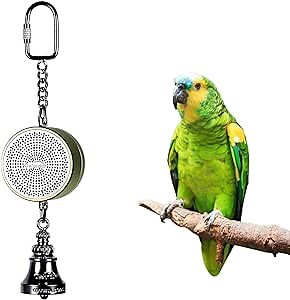 Colorday Bird Talking Coach & Interactive Voice Bell Toy (Patent Pending), Green