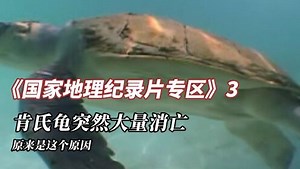 纪录片《国家地理纪录片专区》3：肯氏龟突然大量消亡，原来是这个原因