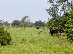 Okeechobee County, Florida - Alchetron, the free social encyclopedia