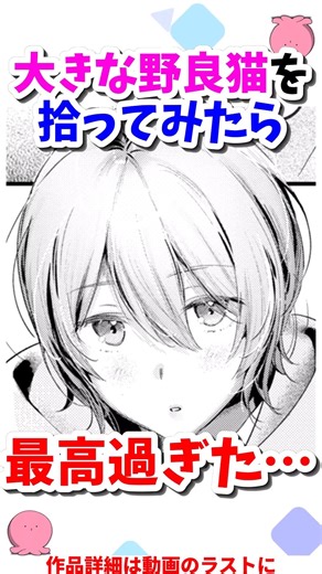 大きな野良猫を拾ってみたら最高過ぎた… #漫画 #漫画紹介 #shorts