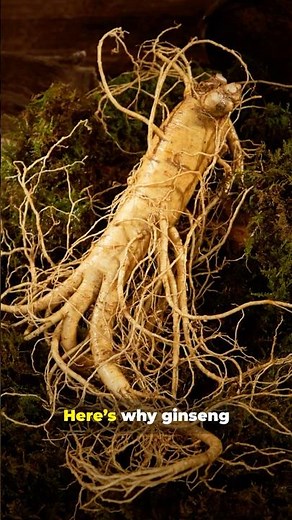 This Ancient Root Boosts Energy Naturally! ⚡ (Ginseng Benefits) #Ginseng #NaturalEnergy #Shorts