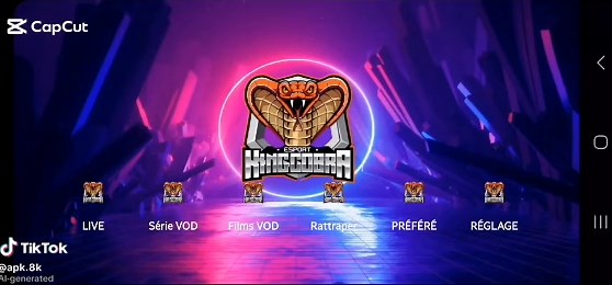 Real Madrid Champions League Highlights and Edits