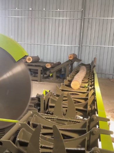 Wood Automatic Log Cutting Saw for Plywood and Veneer
