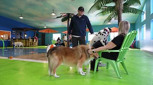 How do you not take less than two minutes to watch these first guests splash around at The Resort by SDK (we spent a bit longer than that). Today is opening day! Read more about the indoor water park for dogs here. https://siouxfalls.business/splash-bark-opens-canine-indoor-water-park-this-week/ | Sioux Falls.Business