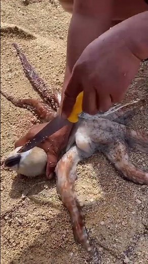 How to Clean a Fresh Octopus like a Pro! 🐙🔪