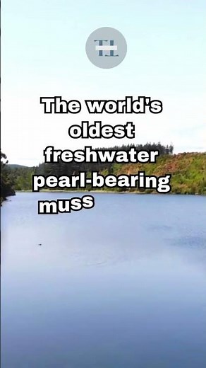 River Jewels: Tennessee's Historic Freshwater Pearls and the Mussels Behind Them!