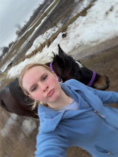 Temporary placement, but permanently moved #fyp #horses #move