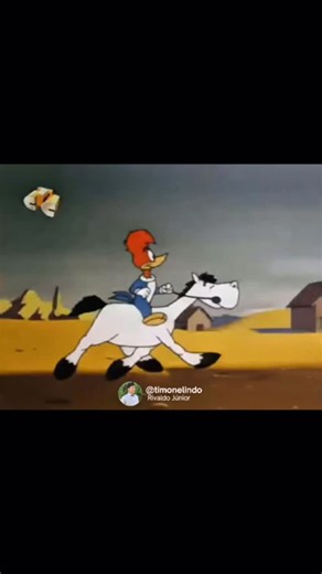 Timon é lindo on Instagram: "Procede? #timonmaranhão #maranhão #viral #post #fy #meme"