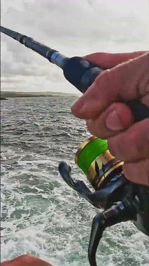 This Shimano METAL JIG is CRAZY 😳 #fishing #shorejigging #fishing