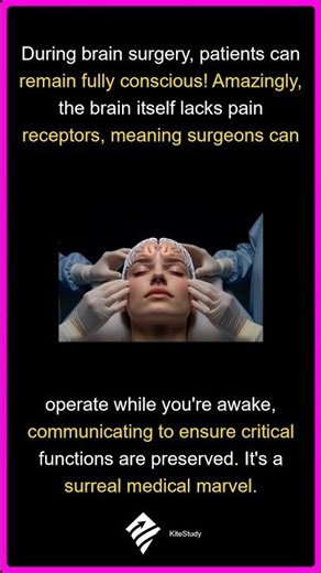 Awake During Brain Surgery? | The Brain Feels No Pain