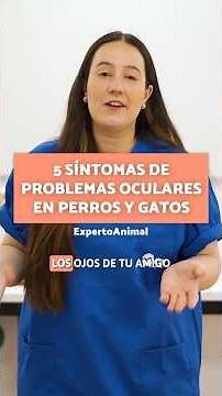 These signs indicate eye problems in your dog or cat 👀🙀 #shorts