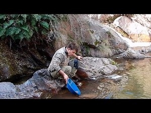 !!GOLD, GOLD, lots of GOLD!!.😱👉2 steps. They are BURIED TREASURES!!