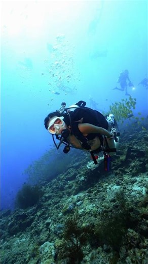 Maldives Underwater Photography Tutorial Is Here!