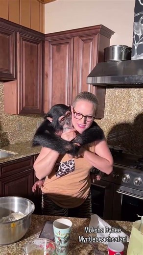 Baby chimpanzee! This escalated so fast! #chaos #comedy #funnyvideo #viralvideo #unexpected