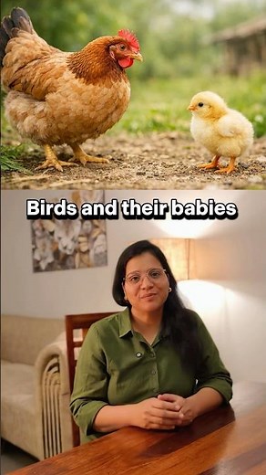 I bet you can’t Guess These Baby Bird Names? #english #learnenglish #educational #viral #vocabulary