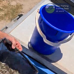 16K views · 124 reactions | Forget winter - Codlands is coming!...