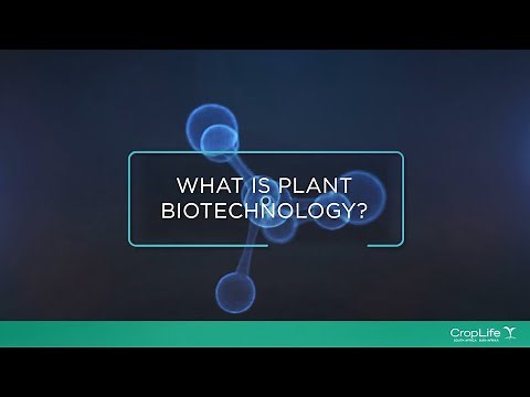 What is Plant Biotechnology?
