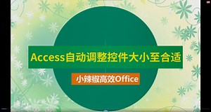 Access自动调整控件大小至合适