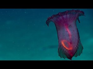 Facts: The Headless Chicken Monster