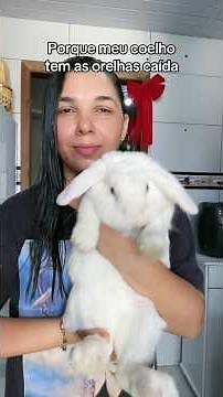 Why do rabbits have floppy ears? #rabbit