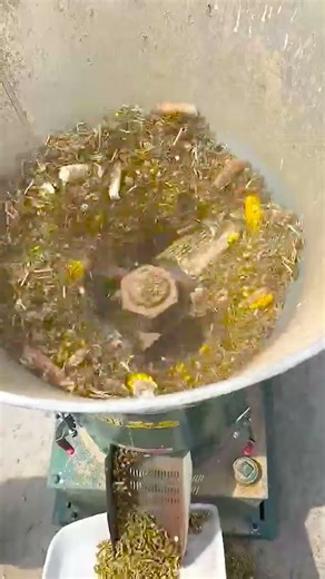 WA: +8615638451357 Wood chip pellet machine, biomass pellet machine, pellet machine production line