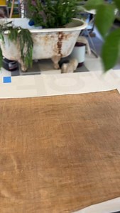 3K reactions · 190 shares | Two plants, two silent storytellers. No...