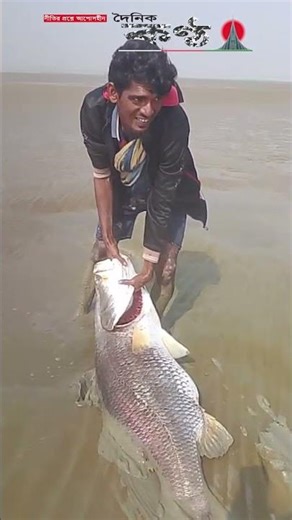 জাল ছাড়াই বিশাল ওজনের কোরাল মাছ ধরলেন এক জেলে