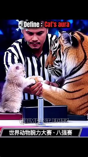 𝑶𝑻𝑨𝑾•𝑬𝑫𝑰𝑻☠️ on Instagram: "#🇯🇵Japan is turning footsteps into electricity! Using piezoelectric tiles, every step you take generates a small amount of energy. Millions of steps together can power LED lights and displays in busy places like Shibuya Station. A brilliant way to create a sustainable and smart city • turning m…"