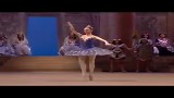 《23 Wonderful Female Classical Ballet Variations》