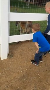 To license this content please click here: https://www.jukinmedia.com/licensing/view/1214207?utm_source=RMsocialpost&utm_medium=RMsocialpost | Jukin Copyright Management