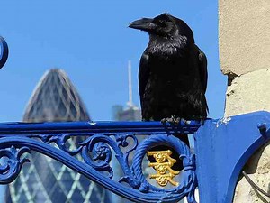 ロンドン塔観光 見どころと回り方 世界遺産イギリス王室ゆかりの中世の城塞 - Petite New York